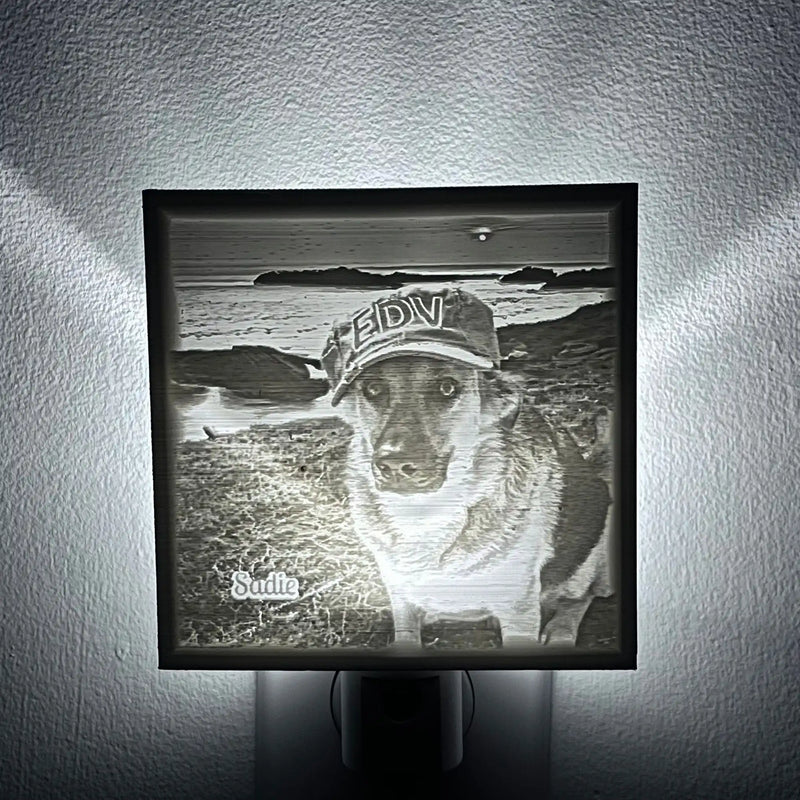 Nightlight with a dog wearing a hat and a beach scene.